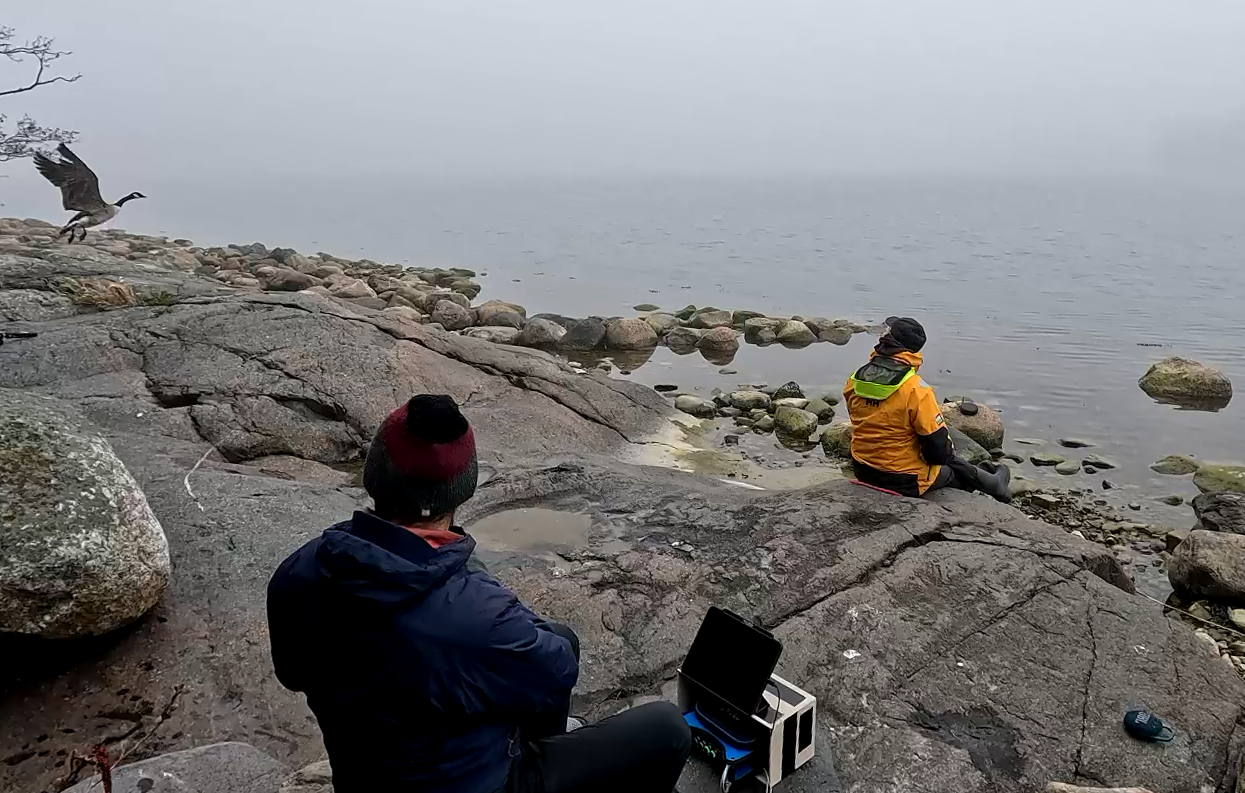 Figure 3. ExoSounders and a Canada goose on Malkasaaari island, Helsinki, April 2025. Photo credit: ExoSound.