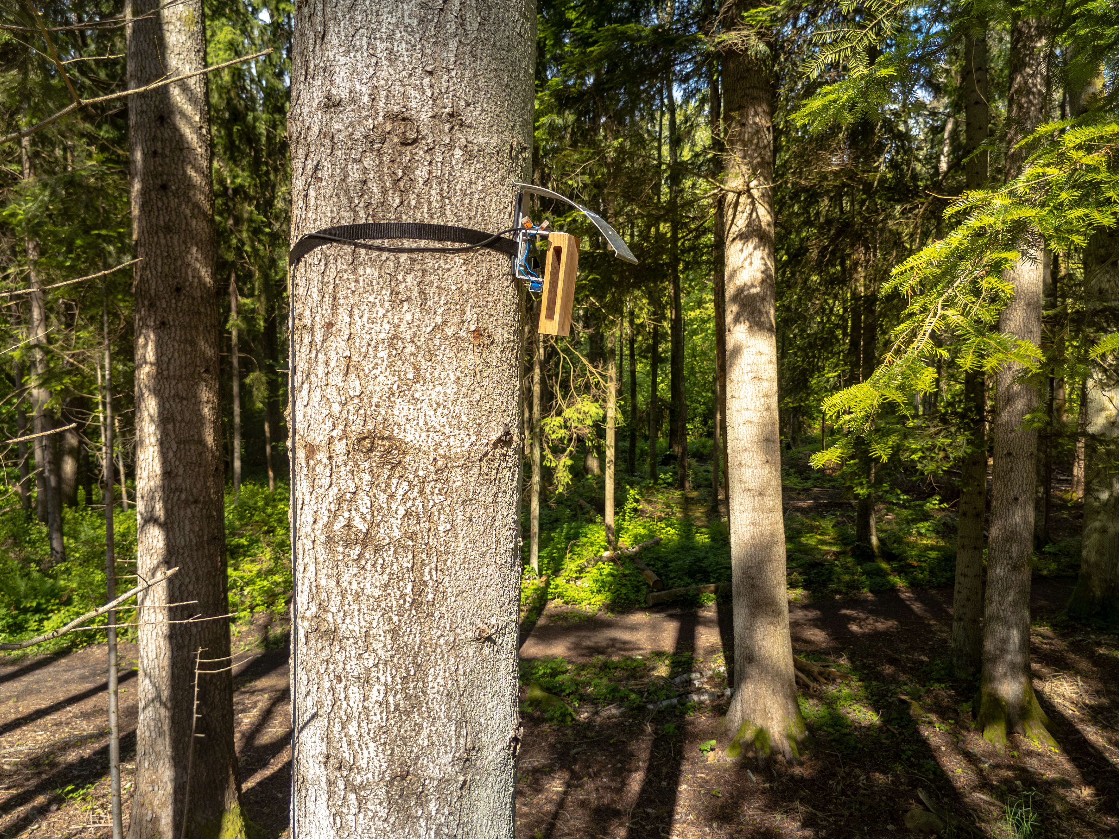 HC Gilje’s »The Alby Critters«. © Eivind Lauritzen / Galleri F 15