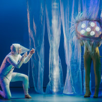 »Rotten og træet«. © Grzesiek Mart