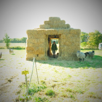 © Rachel Dagnall / Henning Christiansen Arkiv, Møn DK