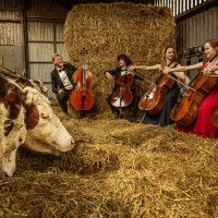 © Carsten Snejbjerg