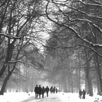 Still fra ‘Dyrehaven, den romantiske skov’. © Laterna Film