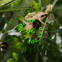 © Louis André Haugaard Jørgensen