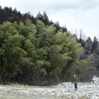 Foto: Takashi Arai