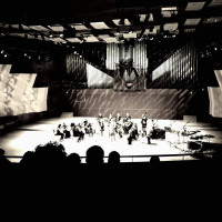 Stine Johanne Thiesen