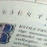 Grafik: Signe Lupnov - Foto: Søren Zeuth/Kollaps