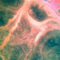 © Zharate/Shutterstock.com