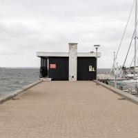 Jana Winderen: »At lytte med muslinger«. © Mikkel Kaldal