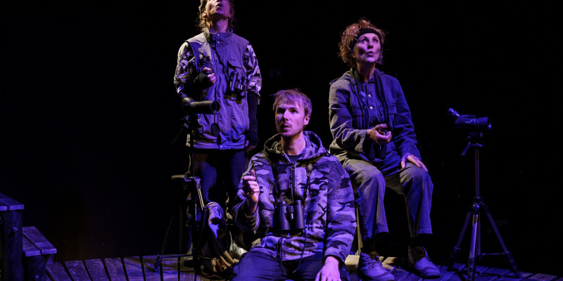 »Over Vadehavet«. © Per Pedersen