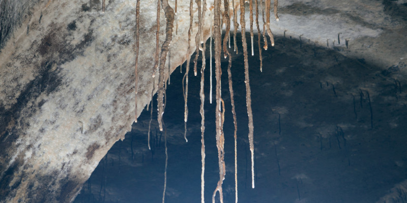 © Johan Rosenmunthe 