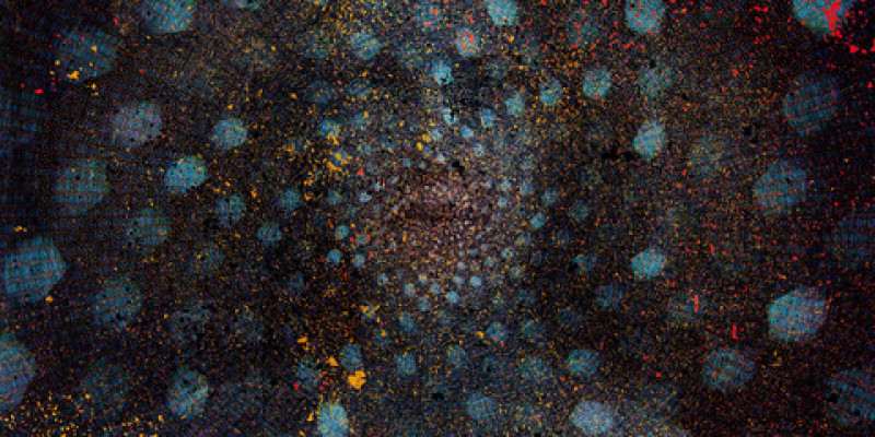 Jacob Anderskov: »Spirit of the Hive« Jacob Anderskov: »Spirit of the Hive«