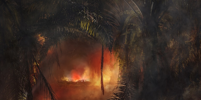 »An Invitation to Disappear« - Bengkulu, 2018. Copyright The Artist, VG Bild Kunst Bonn Germany