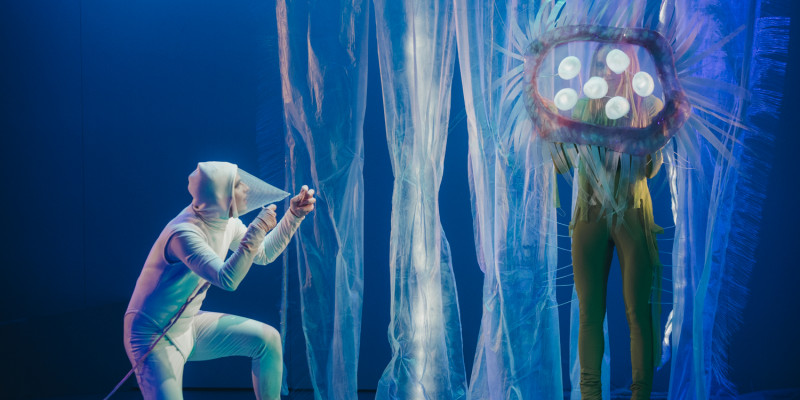 »Rotten og træet«. © Grzesiek Mart