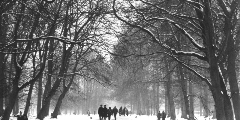 Still fra ‘Dyrehaven, den romantiske skov’. © Laterna Film