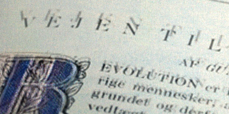 Grafik: Signe Lupnov - Foto: Søren Zeuth/Kollaps