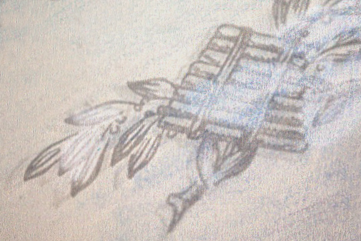 Grafik: Signe Lupnov - Foto: Søren Zeuth/Kollaps