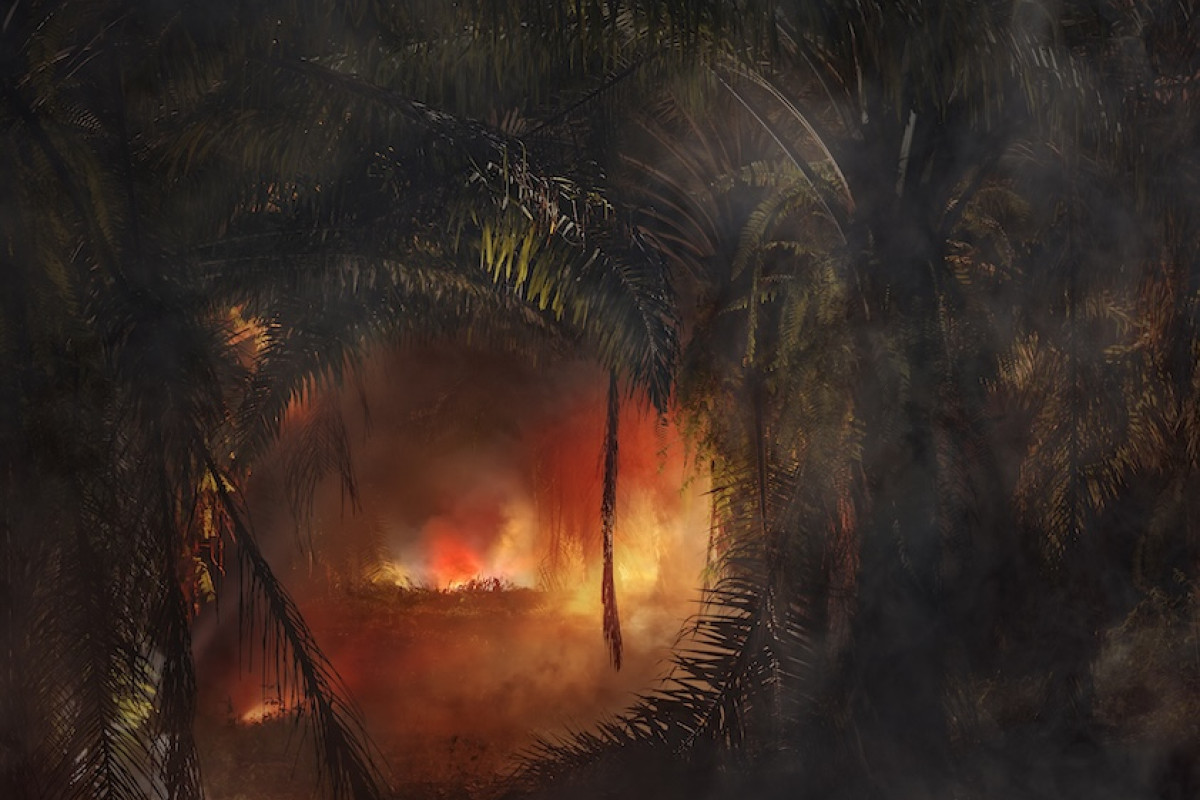 »An Invitation to Disappear« - Bengkulu, 2018. Copyright The Artist, VG Bild Kunst Bonn Germany