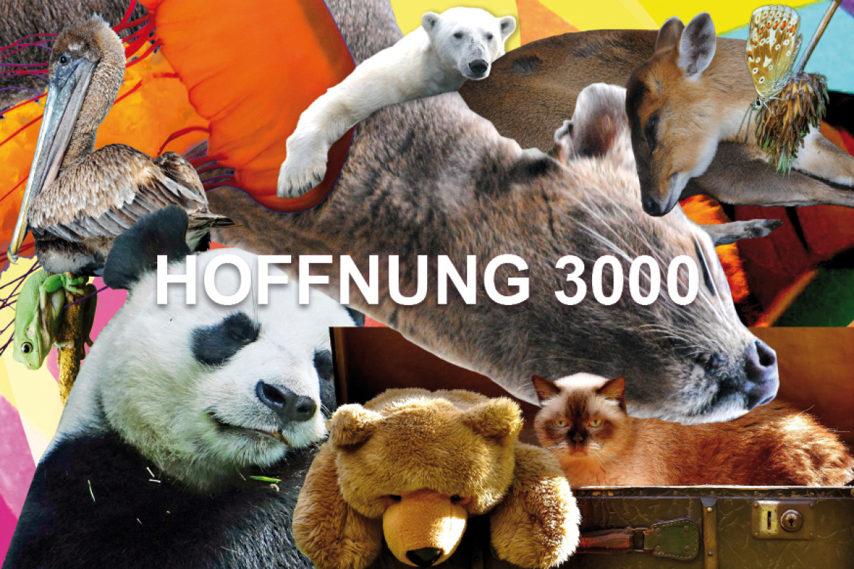 Hoffnung 3000.