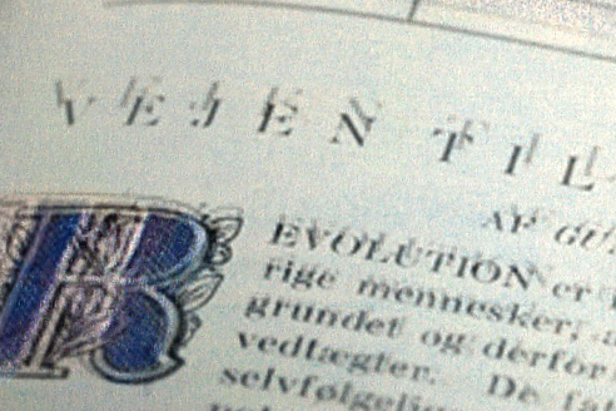 Grafik: Signe Lupnov - Foto: Søren Zeuth/Kollaps