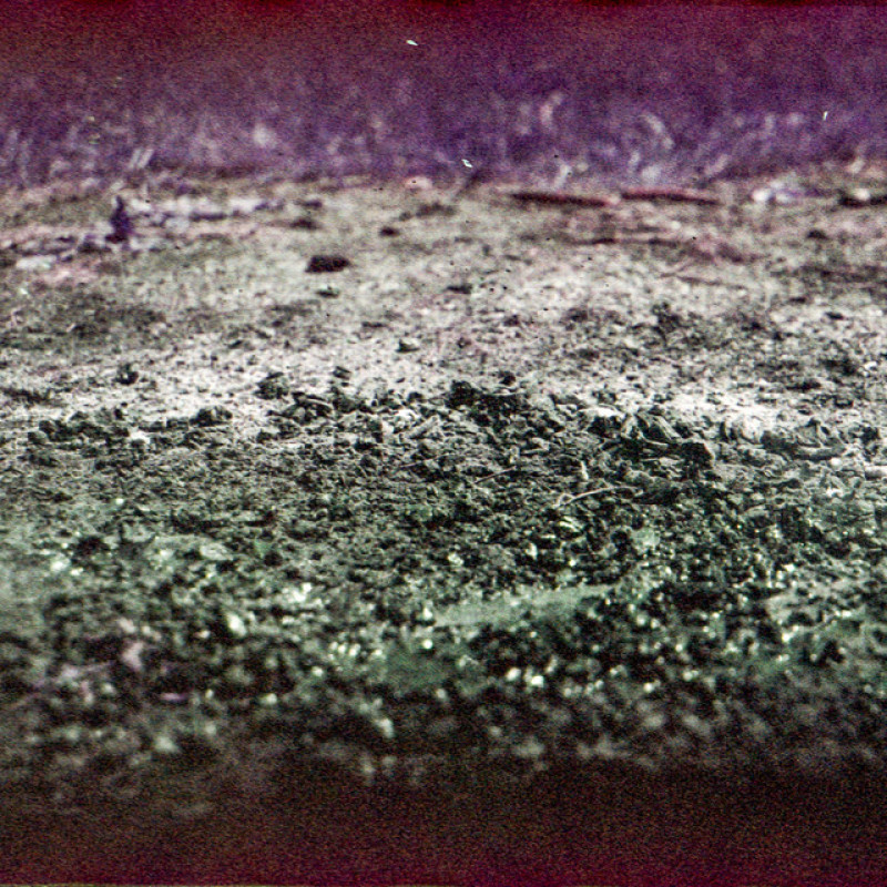 Sune Pors: »Convalescence«