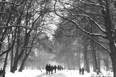 Still fra ‘Dyrehaven, den romantiske skov’. © Laterna Film Still fra ‘Dyrehaven, den romantiske skov’. © Laterna Film