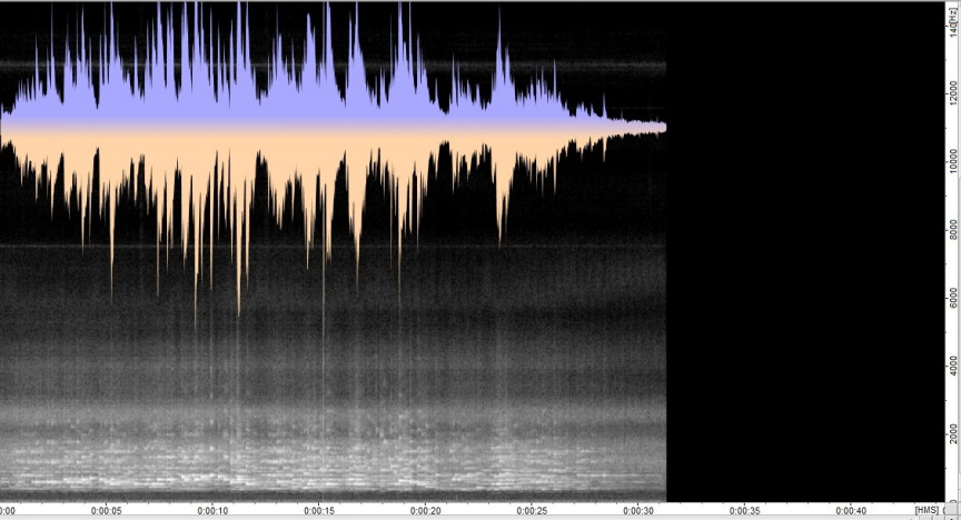 Figure 9: Triumph, Model B, new model recorder, glass diaphragm, large zinc horn