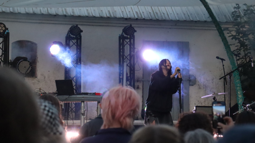 American Dis Fig (Felicia Chen) spans a wide range of genres. © Lost Farm