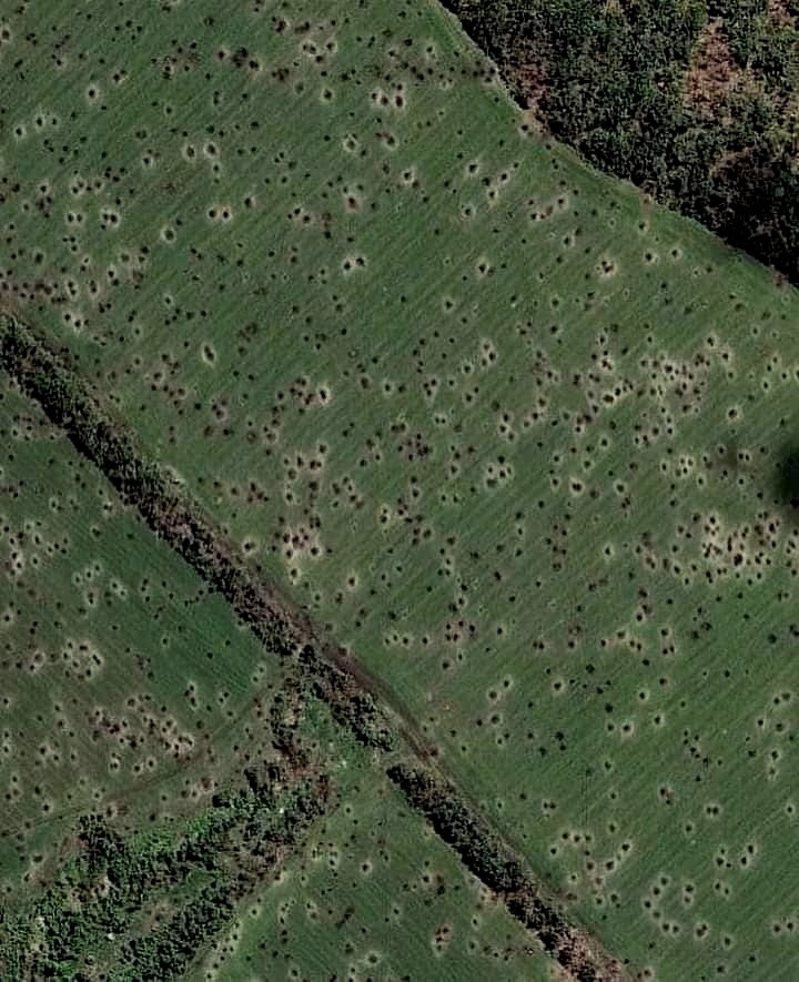 Ukrainian landscape (wartime frontline)